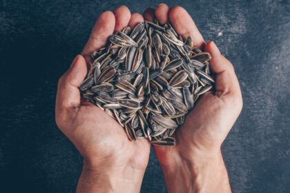 Sunflower seeds