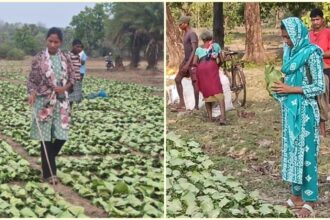 A corruption scandal and an opportunity: How 2 tribal women stepped into leadership roles in Naxal-hit Sukma