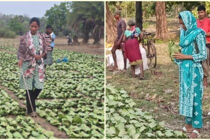 A corruption scandal and an opportunity: How 2 tribal women stepped into leadership roles in Naxal-hit Sukma