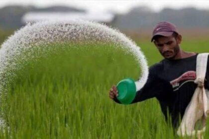 urea