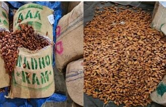 Operation Deep Manifest: DRI seizes 362 metric tonnes Pakistan-origin dry dates in Nashik