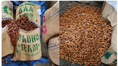 Operation Deep Manifest: DRI seizes 362 metric tonnes Pakistan-origin dry dates in Nashik