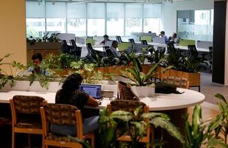 The data were part of the fourth trial release of the ISP, unveiled by the government on Tuesday with 2024-25 as the base year.
