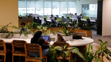 The data were part of the fourth trial release of the ISP, unveiled by the government on Tuesday with 2024-25 as the base year.