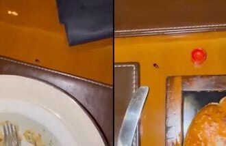 Cockroach joins cardiologist for dinner at JW Marriott Mumbai