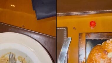 Cockroach joins cardiologist for dinner at JW Marriott Mumbai