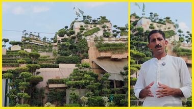'They called me crazy 40 lakh investment' Meet Asghar Ali of Pakistan - He turned his home into mini forest for mother