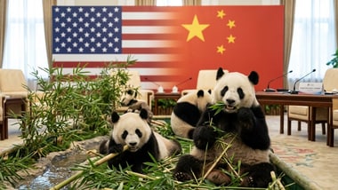 China has send two giant pandas to Zoo Atlanta. What is Beijing’s ‘panda diplomacy’? (AI generated representative image)