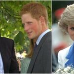 Prince Harry reportedly wants Earl Spencer for rumoured Diana documentary.