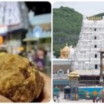 TTD News: Who is Kailash Chand Manglam? ED arrests ghee supplier in Tirupati Laddu adulteration case