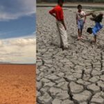 Global temperatures could rise 1.2°C above normal.