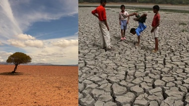 Global temperatures could rise 1.2°C above normal.