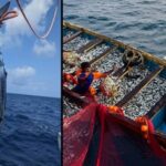 ICAR-CMFRI clarifies parasite reports, says tuna from Indian waters show no harmful signs.
