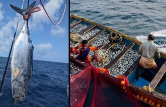 ICAR-CMFRI clarifies parasite reports, says tuna from Indian waters show no harmful signs.