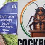 Delhi HC issues notices to CJP activists over AI-morphed images of woman with PM (Images: File photos)