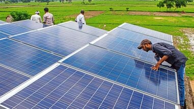 The government plans to add about 5GW of agrivoltaic capacity in about three years.