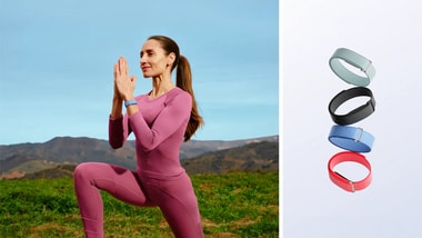Google has launched the Fitbit Air in India.