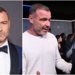 Liev Schreiber recently scolded an Apple TV reporter at the red carpet of Nocturne.