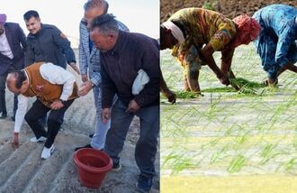 Ladakh launches large-scale saffron cultivation experiment.