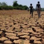 Maharashtra declares 305 talukas drought-hit; farmers to get  ₹5,000 before Diwali (AI-generated image for representational purposes only)