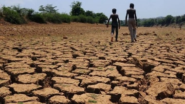 Maharashtra declares 305 talukas drought-hit; farmers to get  ₹5,000 before Diwali (AI-generated image for representational purposes only)