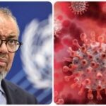 Explained: What is Shamonda virus? WHO says first human case reported in France — risks to humans and animals listed